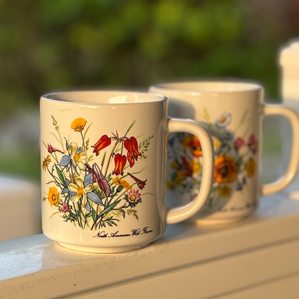 Pair of Vintage Wildflower Mugs